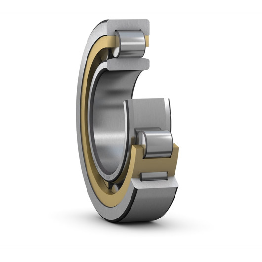 SKF BC1-0290 Cylindrical roller bearings