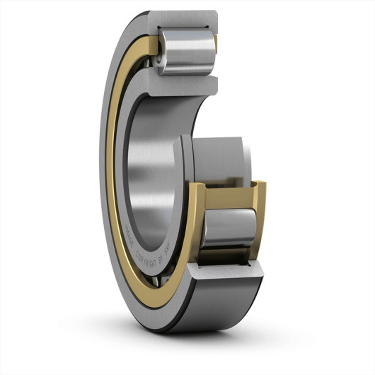 ROLLWAY NJ 2320 EM Cylindrical roller bearings