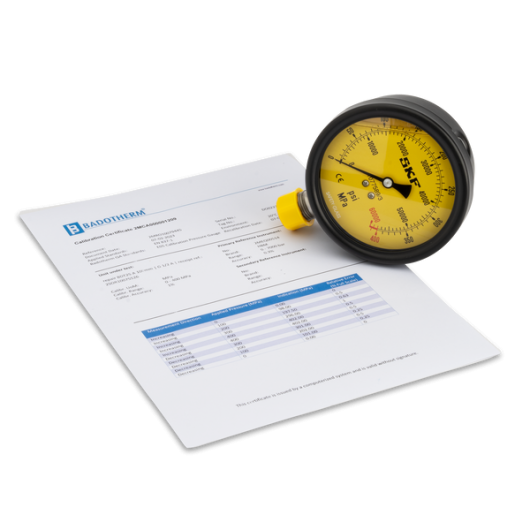 SKF 1077589/3 CAL Hydraulic pressure gauges